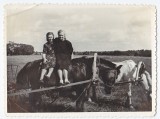 Fotografuota Pamiškių kaimo laukuoseNaudojimo teisių informacija: Emilijos Petrauskaitės-Mikalajūnienės archyvas